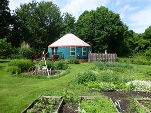 So much to harvest from the garden--heirloom tomatoes, onions, greens, squash...