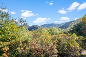 View from back porch