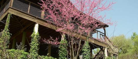 Log Treehouse Overlooking the Colorado River