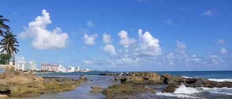 Ocean Park Beach (just a few walking minutes away).