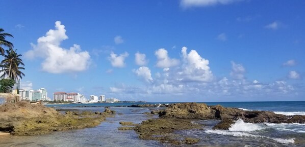 Ocean Park Beach (just a few walking minutes away).
