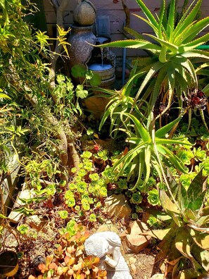 ...as it claims its ground to further welcome you as you walk in the property.