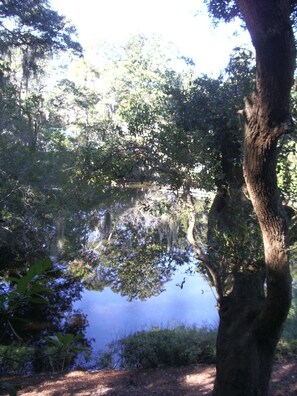 Lagoon View from Screened Porch