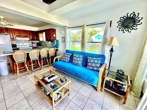 Living area/kitchen