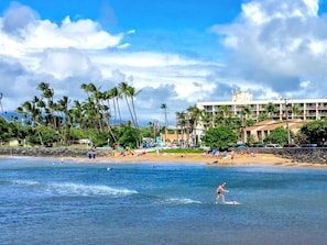 Cove Park Beach