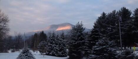 Terrain de l’hébergement 