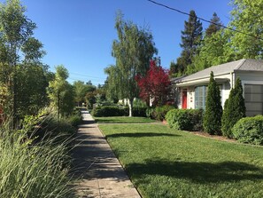 tree lined street