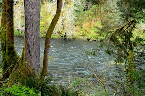 Sol Duc River Frontage