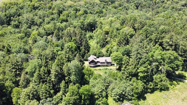 Drone photo courtesy of one of our visitors! We are surrounded by the forrest.