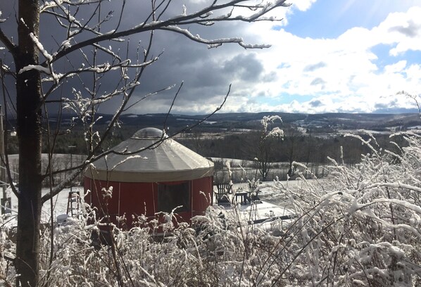 Yurt in Springtime