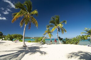 Afternoon walks on the beach.