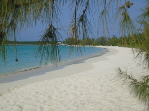 Your beautiful Hoopers Bay Beach!