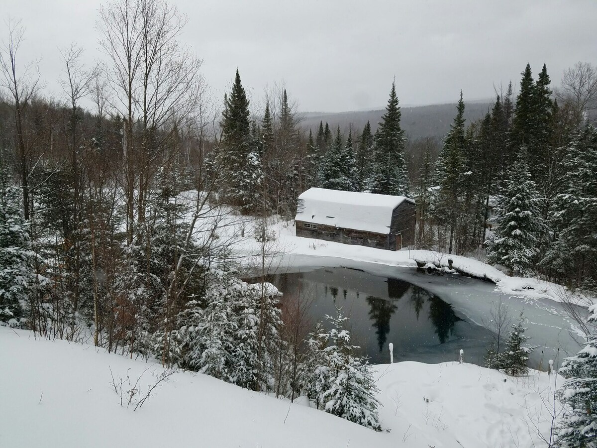 Main Image