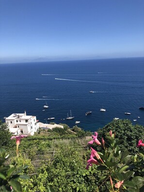 ever changing views of the sea