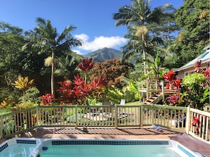 Lush and refreshing. Your own private pool and spa in paradise!