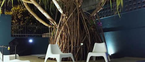 The patio with its unique tropical mangle-type plant by the pool