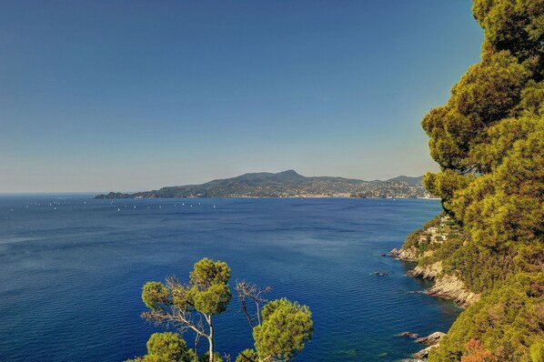 View from the large balcony. In reality the peninsula appears much closer! 