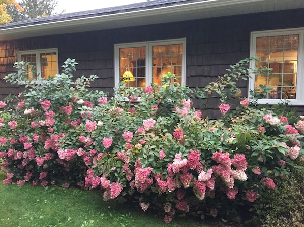 Welcome to our Hideaway in the Hiawatha National Forest close to Pictured Rocks!