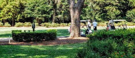 VIEW OF THE 9TH TEE OF THE HARBOUR TOWN GOLF COURSE FROM THE  SCREENED PORCH