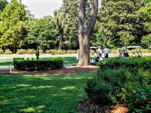 VIEW OF THE 9TH TEE OF THE HARBOUR TOWN GOLF COURSE FROM THE  SCREENED PORCH
