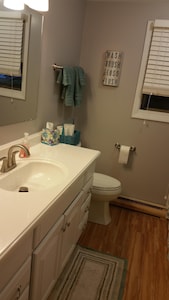 Lakefront Rental in Stanton, MI