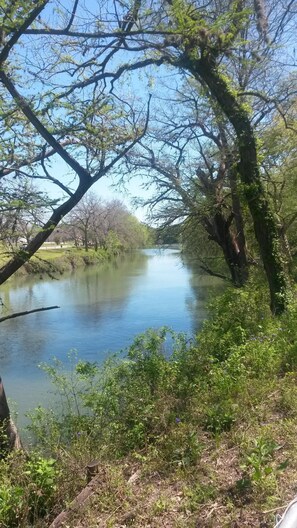 From the  back yard