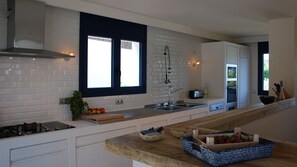 View into the Kitchen from the terrace