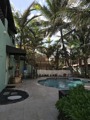 A BEAUTIFUL OASIS WITH SWAYING PALMS, LOUNGE CHAIRS, SHOWER AND A HEATED POOL!