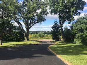 Looking north towards the river 