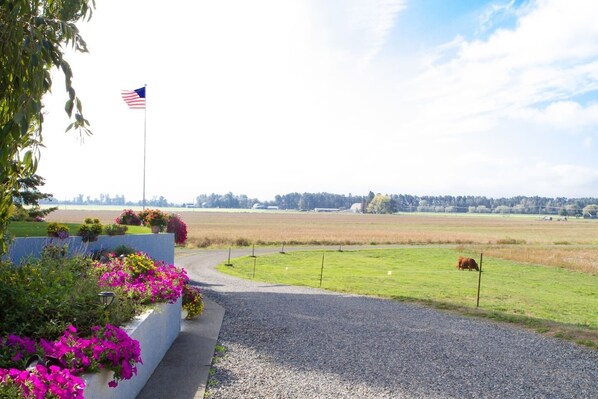 " We enjoyed the peaceful surroundings and would probably stay with her again " Review by Diane*****