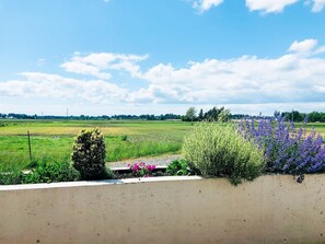 The property is incredible with such beautiful views.