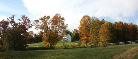 View of Farm House from main barn, in Autumn