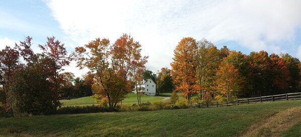 View of Farm House from main barn, in Autumn