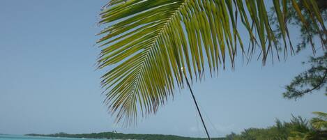 Hoopers Bay Beach on a busy day!!