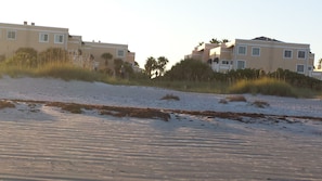 Natural Sea Dunes with nesting area for the sea turtles