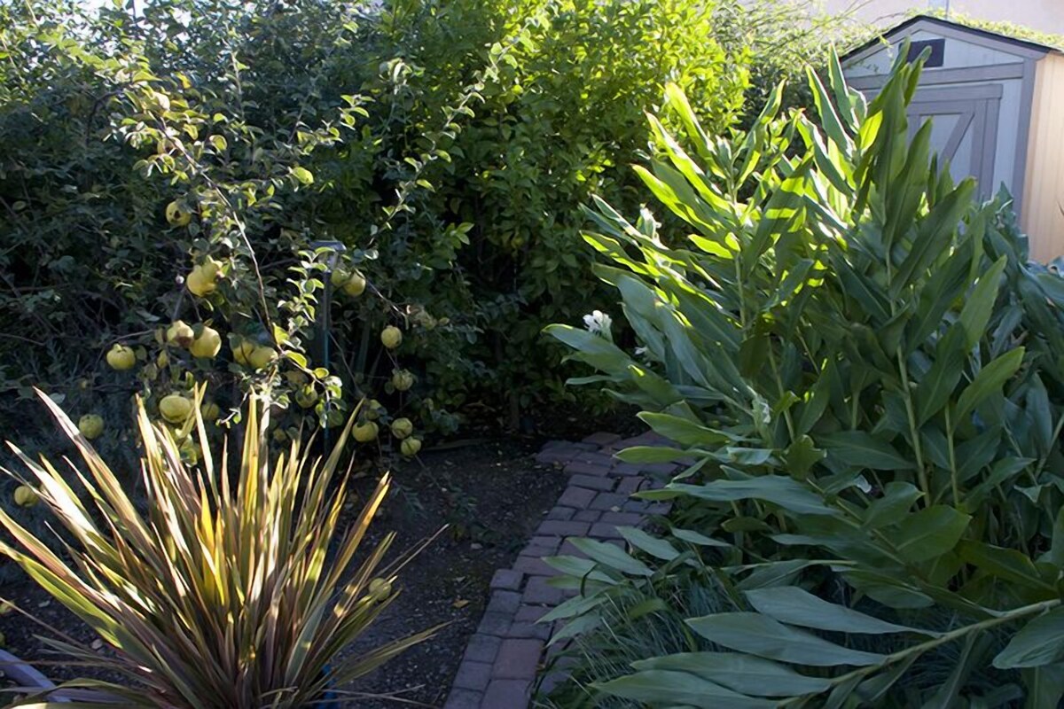 4 BED/3 BATH W/SPA & VIEWS ASK ABOUT FREE NIGHT SPECIAL AUGUST ’24 NEW RESER.
