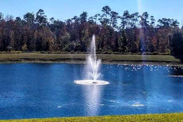 Fountain View from the patio