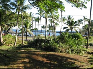 Panoramic picture 2/2.  View from Living Room