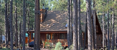 Cabin Deck and Patio from Forest