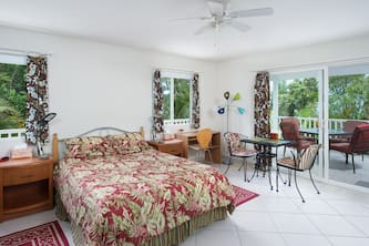 Beautiful, Spacious, Garden View Studio with Kitchenette. Wir Sprechen Deutsch.