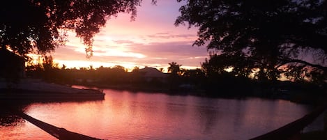 Enjoy the Sunset serenade out of the hammock in our garden