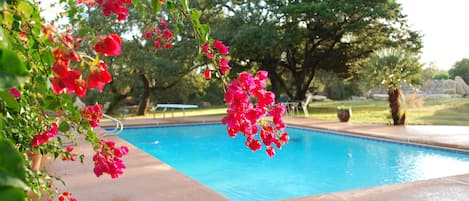 Take a dip in the salt water pool and relax on the spacious deck.