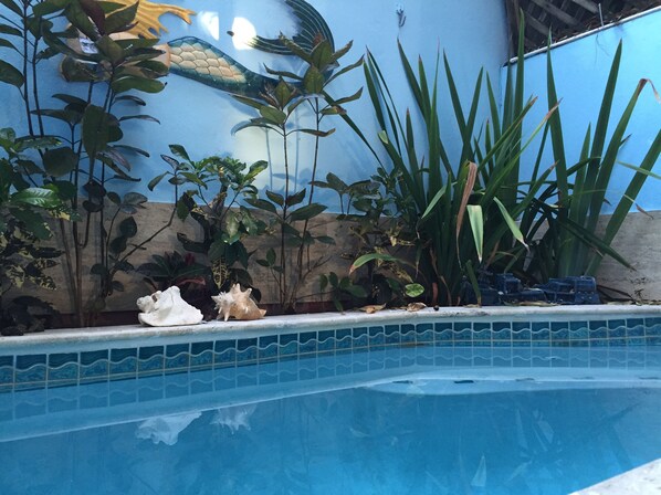 Wonderful private pool!!