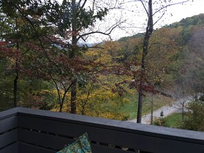 The veiw