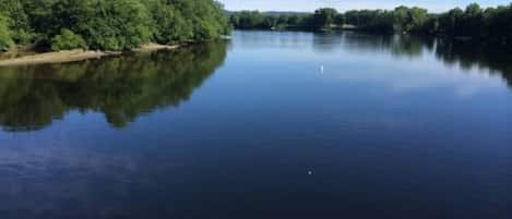 Bike ride on the Norwottuck Rail Trail( entrance to trail 2-minutes from the house) to the CT River- Bring your bikes and enjoy!