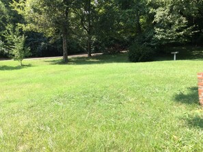 Beautiful back and side yard.