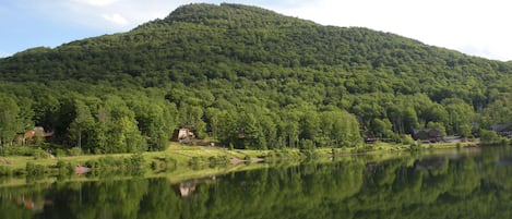 Senic Views of Lake and Mountain during Summer