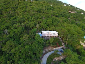 The tropical forest has been impacted by the 2017 Hurricanes. It is recovering.