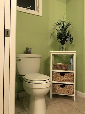 Master bedroom ensuite bathroom, plenty closet space, blow dryer and towels