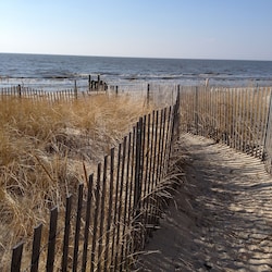 Feel the breeze and fresh air while walking thru this path to the Delaware Bay.